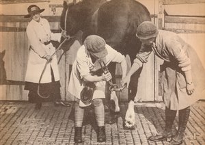 運搬業者の大企業の馬病院の蹄鉄工としての女性、c1916、1935 作： Unbekannt
