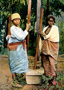 19世紀後半、米を打つ女性、マダガスカル