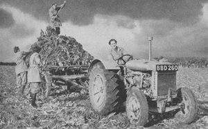 農地を持ち上げる女性陸軍、第二次世界大戦、1940