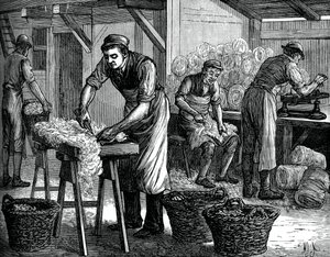 ウールソーター、C1880