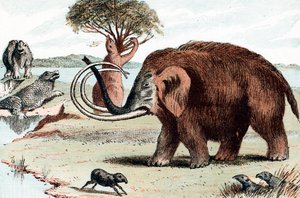 マンモスのマンモス、1892年