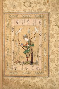 開花木の枝に座る青年、1560年代 作： Unbekannt