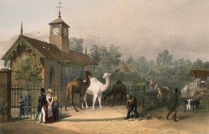 動物園、リージェンツ パーク、メリルボーン、ロンドン、1835 作： Unbekannt