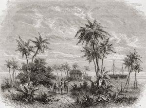 1878年に出版されたアンリテオフィルヒルディブランド（1824-97）によって彫刻された、「手の中の世界」からのイラスト 作： Unbekannt Unbekannt