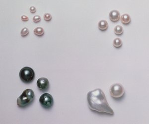 さまざまな形の養殖真珠の選択（122674も参照） 作： Unbekannt Unbekannt