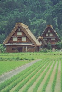 Shirakawa Village, Giju, Japan 