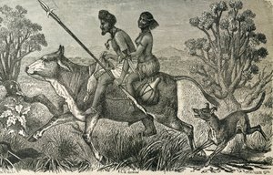 アフリカ（19世紀）。中央アフリカの住民。エングレーヴィング。 作： Unbekannter Künstler