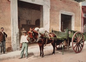 ハバナでのラバの荷車（写真）。