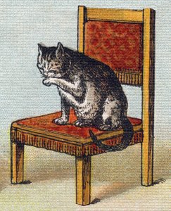 椅子の上の猫。Alphabet de ma petite fille "の中のエングレーヴィング。Bernardin-Bechet and Fils, bookseller-publishers, Paris, around 1895.キャンバスに描かれたアンブレイカブル・アルバム。Bibliotheque des Bebes.12ページ。読書法とイラストのアベセダが入ったアルバム 作： Unbekannt