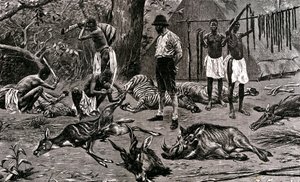 素晴らしい狩りの日1900年（エングレーヴィング） 作： Unbekannter Künstler