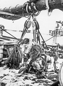 ロバート・エドウィン・ピアリー提督（1856～1920）北極探検家（1909年、「ルーズベルト号」で来航 作： Unbekannter Künstler