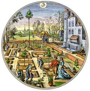 農業：1590年頃、春先のヨーロッパ菜園でのガーデニング 16世紀のカラー版画 作： Unbekannter Künstler
