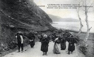 アルバニア背中に木の束を背負ったジプシーの女性たち - ポストカード 1914-1918
