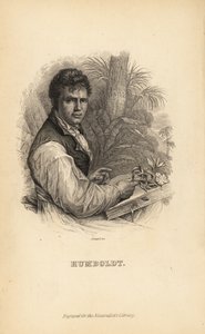 アレクサンダー・フォン・フンボルト（ドイツの探検家、博物学者、植物学者