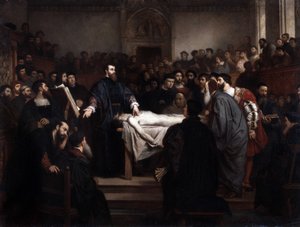 解剖学レコンアンドレ・ヴェサーレ（1514-1564）、イタリア、パドヴァのフランドル解剖学者（アンドレア・ヴェサリウスまたはアンドリース・ファン・ヴェーゼル）。 作： Unbekannter Künstler