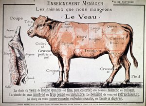 食べる動物：子牛、1910年頃（印刷物） 作： Unbekannter Künstler