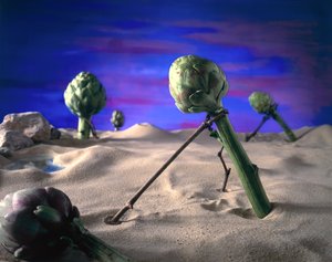 アーティチョーク（ダリ） 1996（写真）