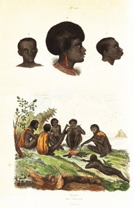 オーストラリアのアボリジニと西パプアのワイゲオの原住民の頭 1834-1839 (彫刻) 作： Unbekannter Künstler
