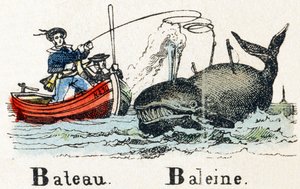 B-バトークジラ-アルファベット-子供向けエンターテインメント-イメージエピナル、人気のセリエc.1890（イラスト） 作： Unbekannt