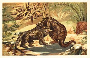 メガロサウルス・バックランディとイグアノドン・ベルニサールの戦い 1908年 (リトグラフ) 作： Unbekannter Künstler