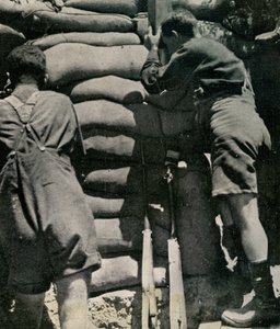 カーキ色のドリルショーツで戦うイギリス軍（ガリポリ半島 作： Unbekannt