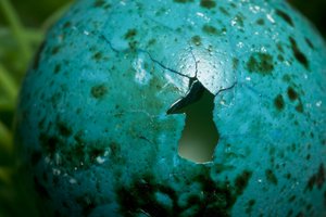 ブロークン・アウト（写真）