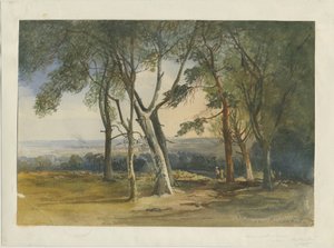 Cannock Chase：水彩画、1848 作： Unbekannt