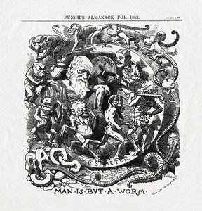 チャールズ・ダーウィン（1809-1882）の進化論に関する漫画：「人間は虫にすぎない」（Man is but a worm）『パンチ』1881年12月6日号より 作： Unbekannter Künstler
