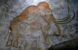 アルタミラ洞窟で発見された洞窟壁画（写真）