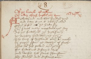 ウィントゥーンのアンドリュー・クロニクルのコピー、フォリオ325の裏面、詳細、1550年頃（紙にインク 作： Unbekannt