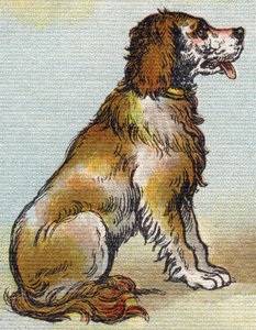 犬。Alphabet de ma petite fille "の中のエングレーヴィング。Bernardin-Bechet and Fils, bookseller-publishers, Paris, around 1895.壊れないアルバムをキャンバスに。Bibliotheque des Bebes（ビブリオテック・デ・ベベ）。12ページ。読書法とイラスト入りのアベコベが入ったアルバム。薄さ：29.5