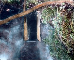 ナポリ近郊の犬の洞窟-犬は二酸化炭素で窒息、人間は生還 作： Unbekannter Künstler