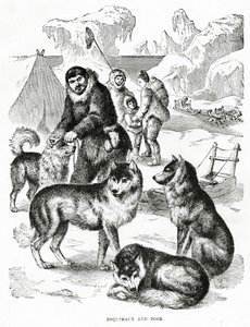 エスキモーと犬。1902年（リトグラフ 作： Unbekannt