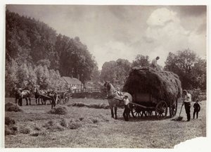 農場風景、収穫・貯蔵、1900年以前 ヘイメイキング、1890年頃