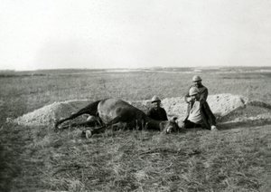 第一次世界大戦 14-18 (1914-1918): 3人のフランス兵が死んだ馬を埋葬する - ガラス版写真 作： Unbekannter Künstler