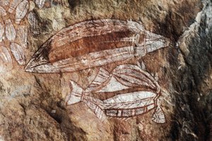 魚、岩絵、アーネム・ランド、ノーザン・テリトリー、オーストラリア、アボリジニの文化