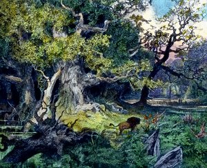 ドイツの森 作： Unbekannter Künstler