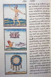 ゴールドスミス、フィレンツェ写本のページ、スペイン語とナワトル語の二ヶ国語版、スペイン人宣教師Fray Bernardino de Sahagun（1499-1590）による「新スペインの事物の一般的な歴史」。アステカ文明 作： William M. Timlin