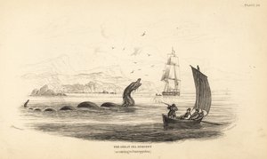 1746年、ローレンス・バイ・フェリーの乗組員が撃った大海蛇。エリック・ポントッピダン司教の『ノルウェーの自然史』に記述されている。 作： Unbekannter Künstler
