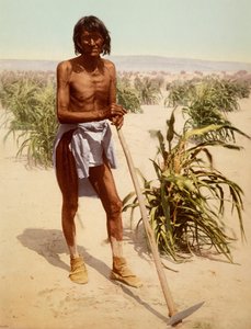 鍬を持つホピ族の男（アリゾナ