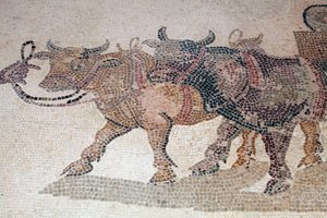 ディオニュソスからワインの栽培方法を教わった後、イカリオスの死という悲劇の直前を描いたパネルからのイカリオスの牛と荷車 - パフォスのモザイク画、ディオニュソスの家、紀元後3世紀 - キプロス - イカリオスの戦車を引くボーフ、そして「th」。