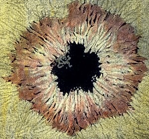 黒点のイラスト 作： Unbekannter Künstler