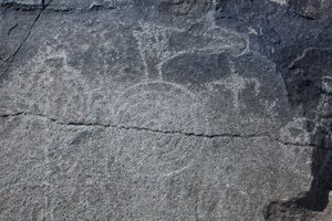 インディアンのペトログリフ-動物とシンボルの表現-ペトログリフ国定公園-米国ニューメキシコ州アルバカーキ（米国） 作： William M. Timlin