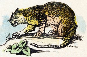 J-ジャガー-アルファベット-子供向けエンターテインメント-イメージエピナル、人気のセリエc.1890（イラスト）