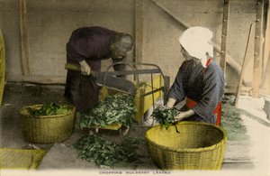 桑の葉を切る日本人労働者 作： Unbekannter Künstler
