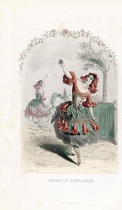 手榴弾の報酬 - ジャン・イグナス・イジドール・ジェラール（J.J.J.グランヴィル、1803-1847）の挿絵に基づくシャルル・ジョフロワ（1819-1882）のエッチング。 作： Unbekannter Künstler