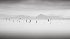 トラジメーノ湖、ウンブリア、イタリア、2015年 (白黒写真) 作： Leopold Blonder