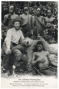 獅子頭のコノハズク 1910年頃（リトグラフ 作： Unbekannt
