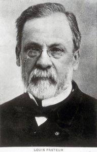 ルイ・パスツール、フランスの化学者、微生物学者、1885年頃 作： Unbekannter Künstler