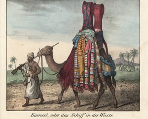 マスケット銃を持ち、ラクダに毛布を積んで走る北アフリカの男。本のためのリトグラフ：「Galerie complete en tableaux fideles des peuples d